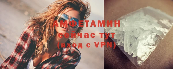 шишки Новозыбков