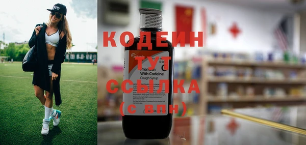 стаф Новокубанск