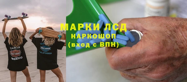 шишки Новозыбков