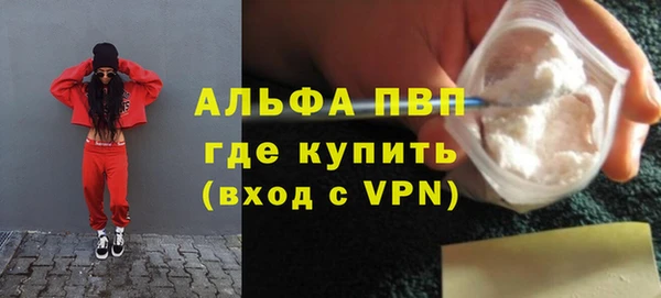 стаф Новокубанск