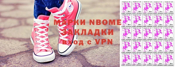 прущие грибы Нягань