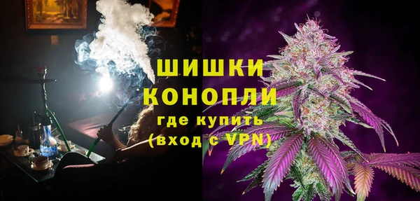 шишки Новозыбков