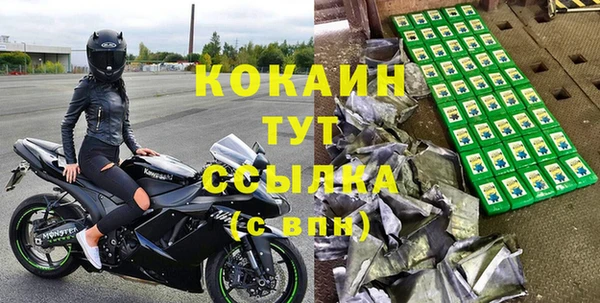 шишки Новозыбков