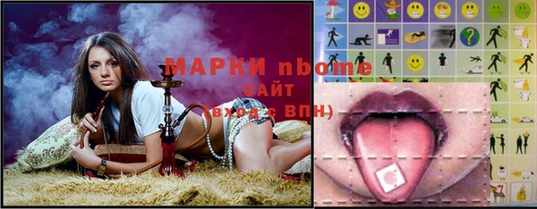 шишки Новозыбков