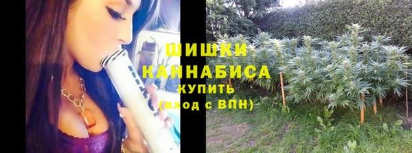 ALPHA PVP Новодвинск