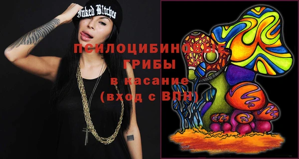 шишки Новозыбков