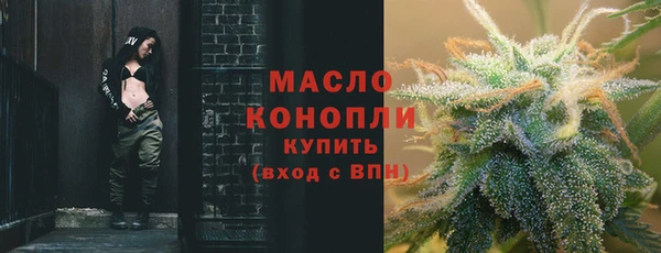 шишки Новозыбков