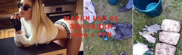 шишки Новозыбков