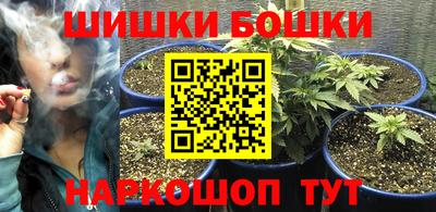 тгк Гай