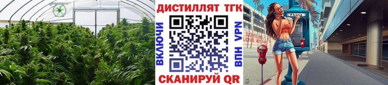 ТГК концентрат  кракен ТОР  Кумертау 