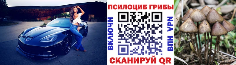 Псилоцибиновые грибы Cubensis  наркошоп  Кумертау 
