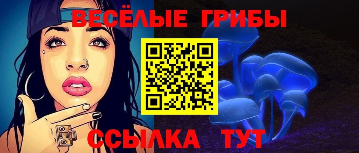 Галлюциногенные грибы Psilocybine cubensis  Кумертау 