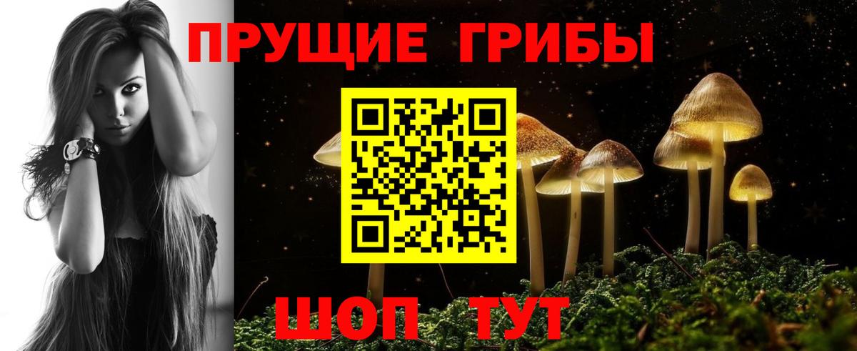 Галлюциногенные грибы Cubensis Кумертау